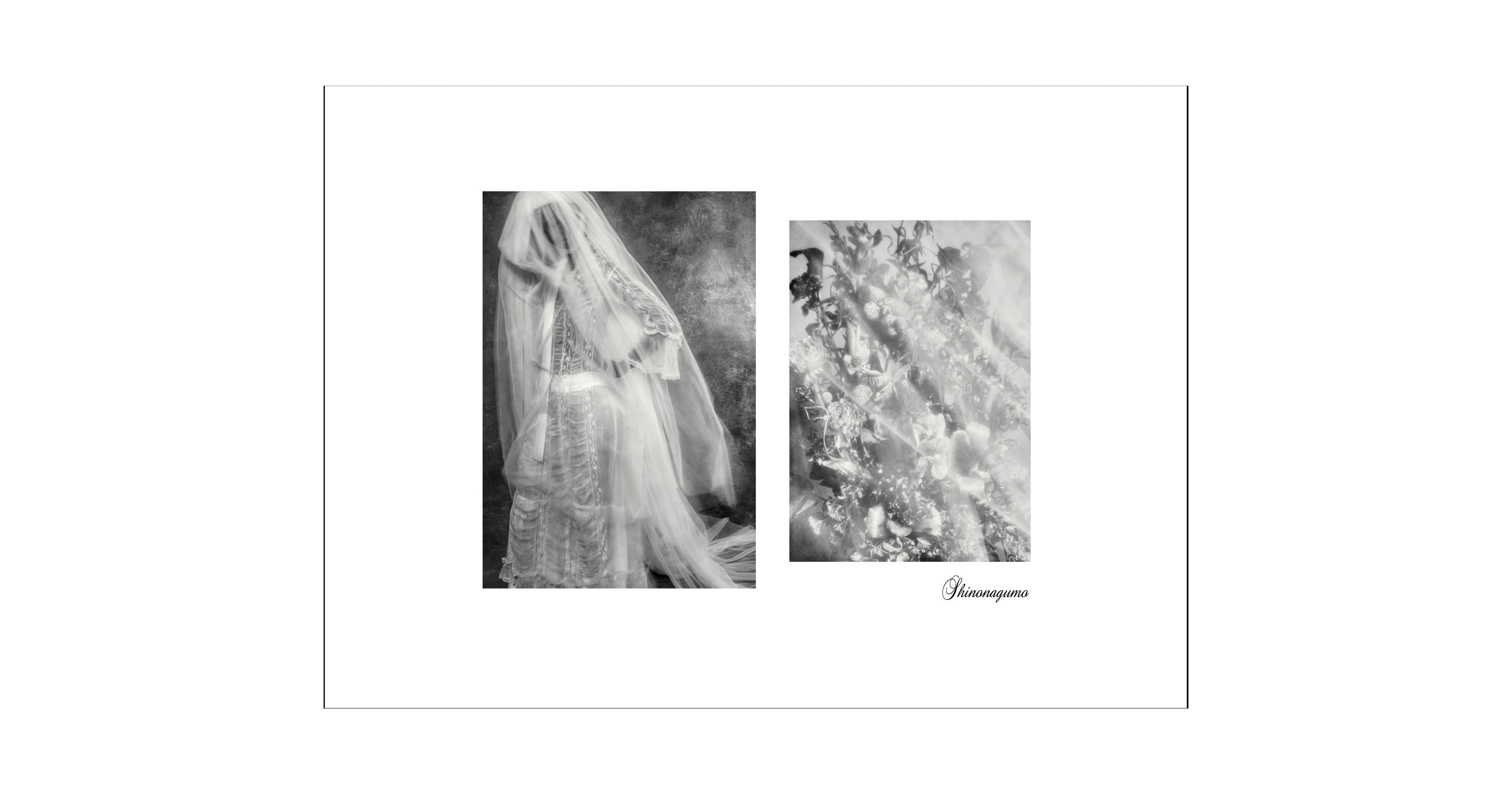 Shinonagumo Shinonagumo